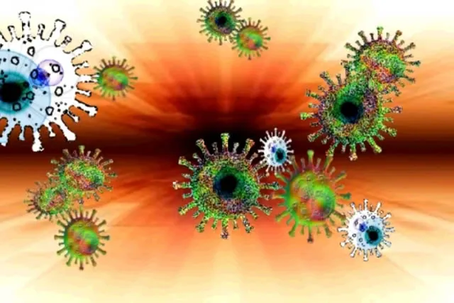 ウイルス イメージ